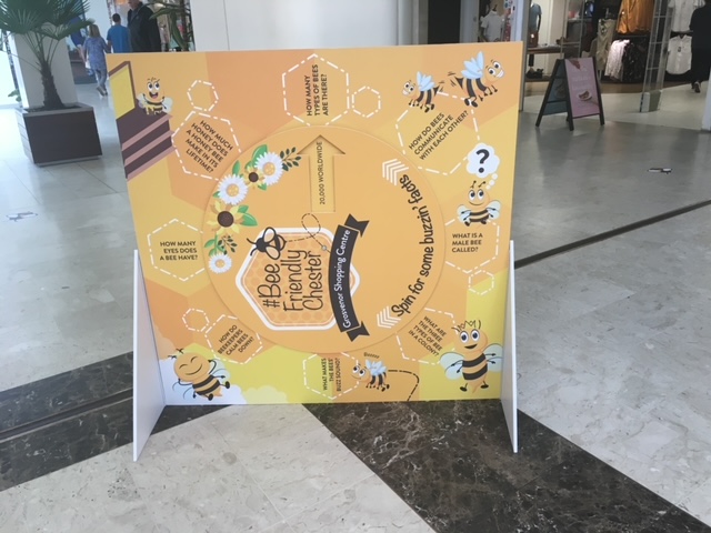 Unknown-2.jpeg thumbnail